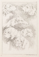 KG 01102
<br/>
Serie honden, wolven en leeuwen (11 bladen)
<br/>
<em>Ridinger, Johann Elias (1698-1767)</em>